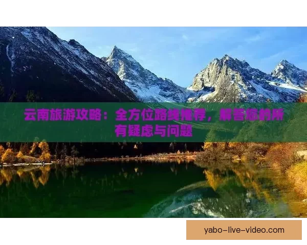世界杯精彩赛事预测与投注攻略全面指南分享